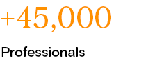 +45000 professionals