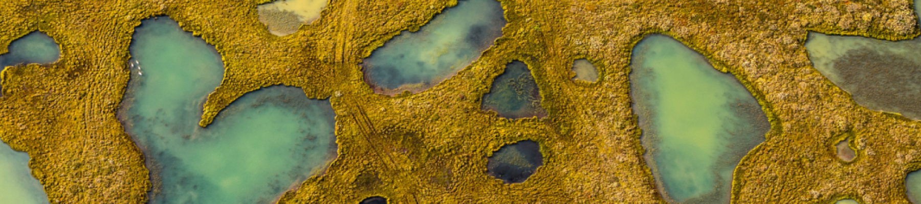 Brokerslink-news-images-1