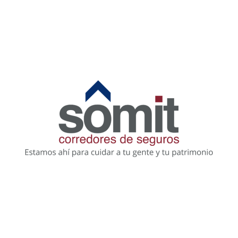 somit